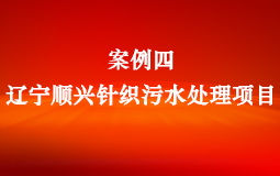 案例四:辽宁顺兴针织污水处理项目