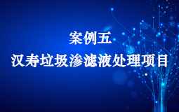 案例五:汉寿垃圾渗滤液处理项目